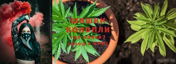 spice Алзамай