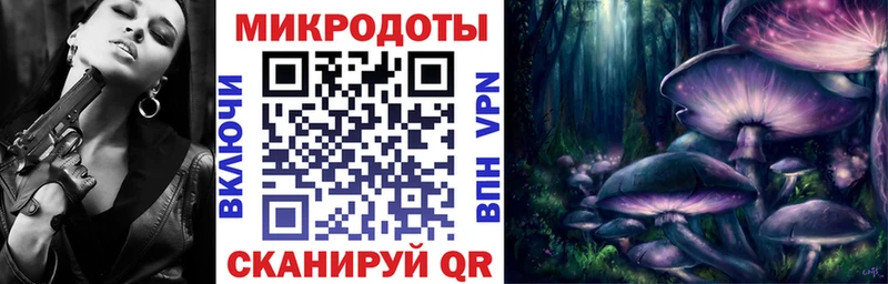 купить Солигалич Псилоцибиновые грибы Cubensis